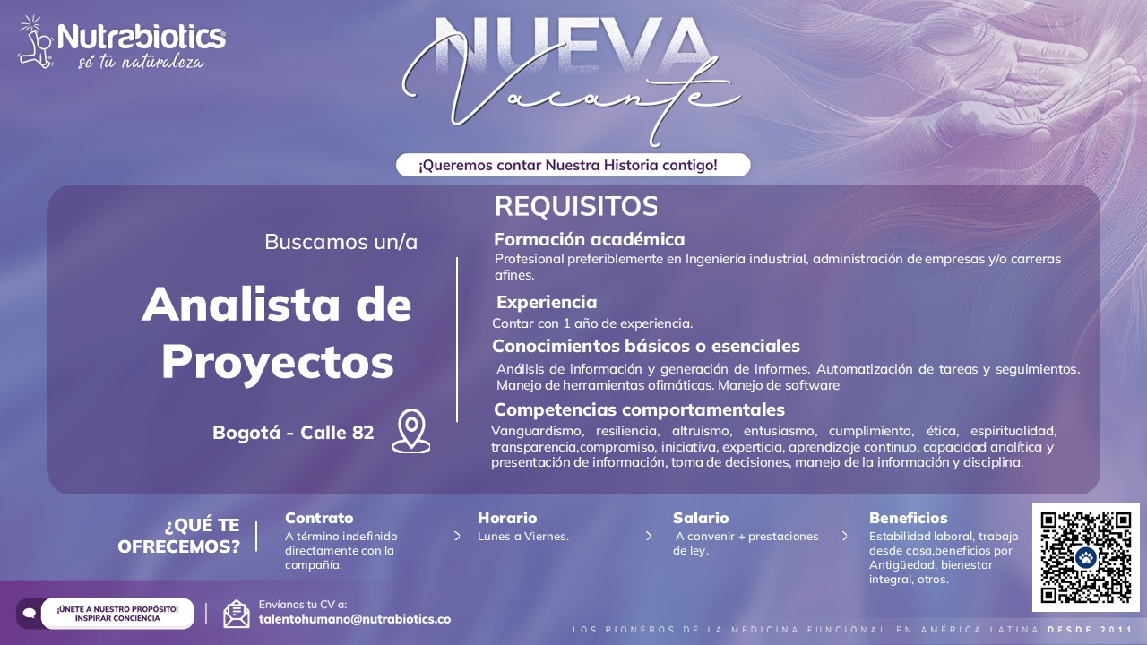Analista de Proyectos